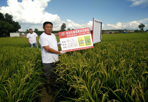 示范田展示 示范田展示